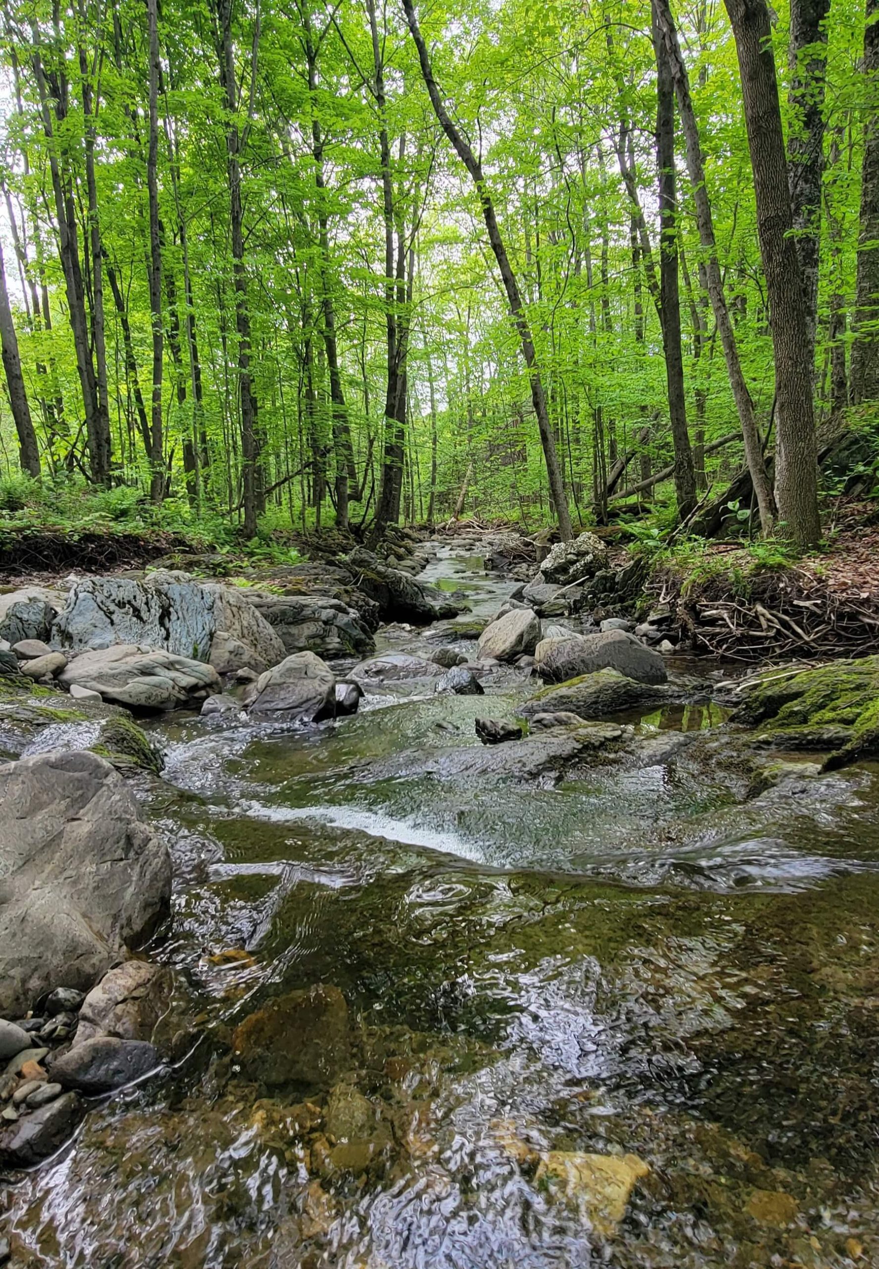 rivière, ressourcement, méditation, Val d'Akor, paroisse Sainte-Famille de Valcourt