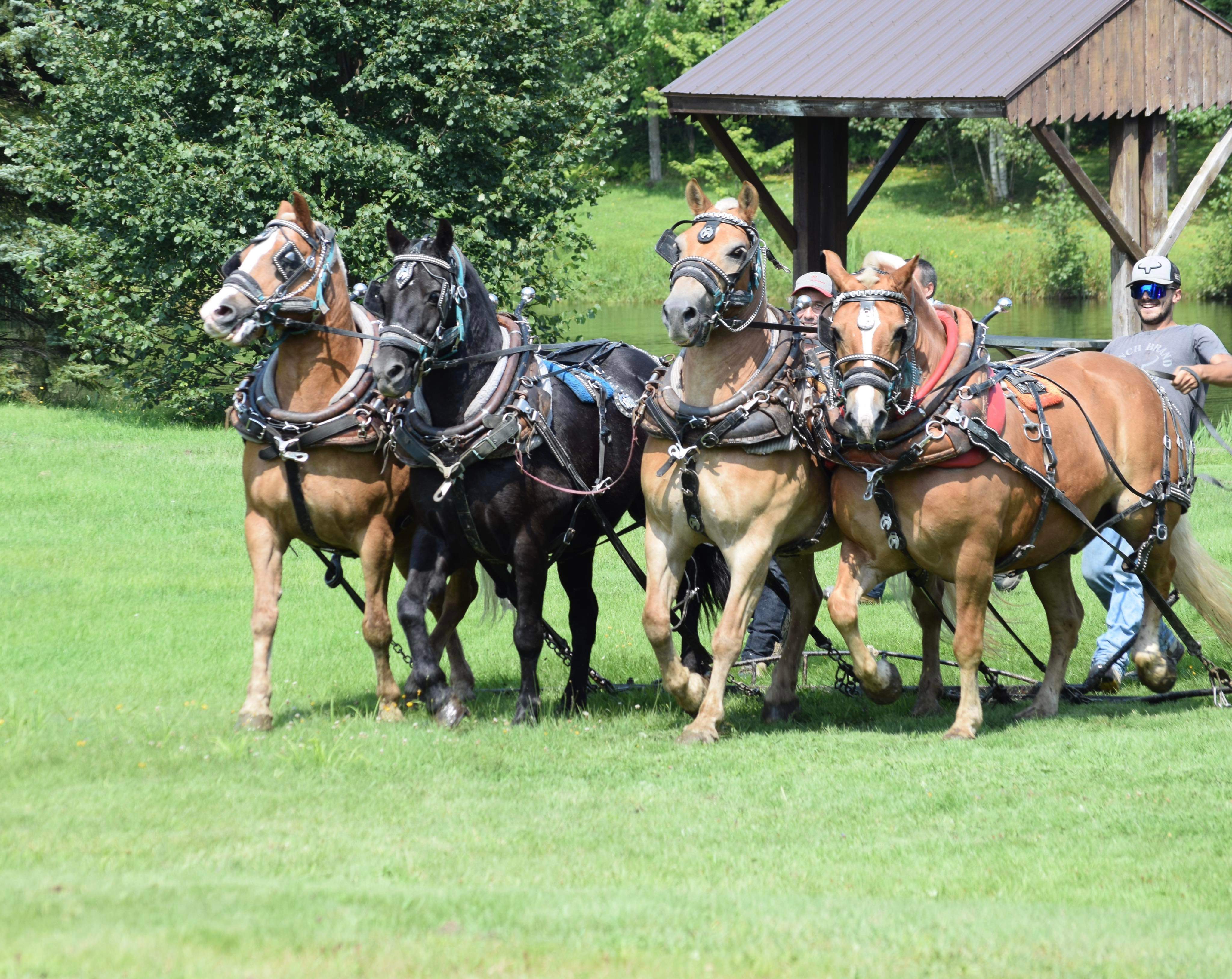 tire de chevaux, église Maricourt, paroisse Sainte-Famille de Valcourt